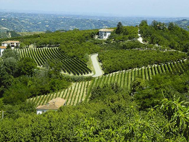 Agriturismo Cascina Anri Mango Exterior photo